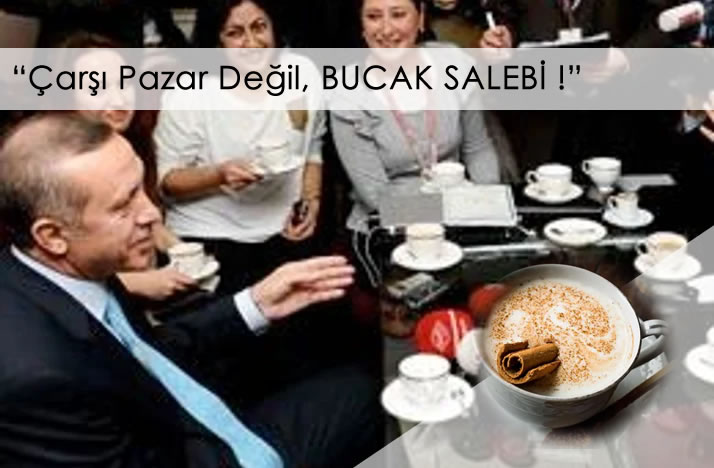 Bucak Salebi