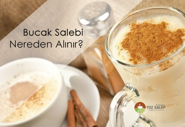 Bucak salep nereden alınır?