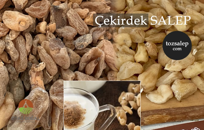 Çekirdek salep