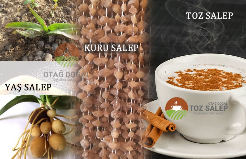 Gerçek salep fiyatı