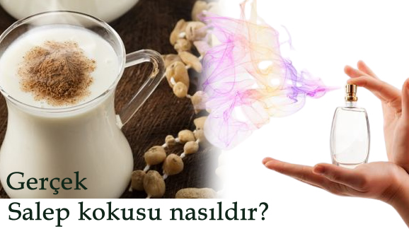 Saf salep kokusu