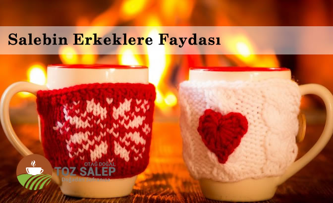 Salep in Cinselliğe Faydaları Nelerdir?