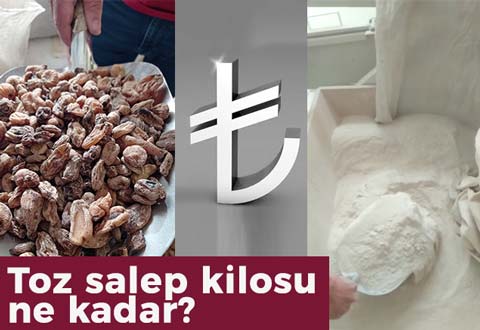 Toz salep kilosu ne kadar?