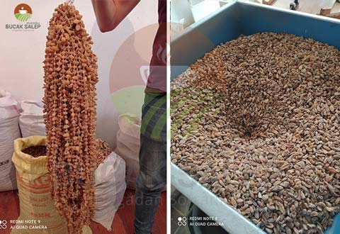 Otağ Doğal işletmesinde taş değirmende salep öğütülmesi